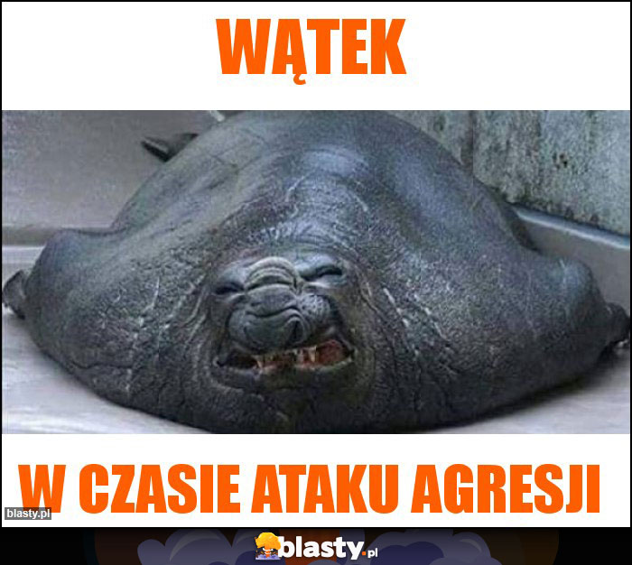 Wątek