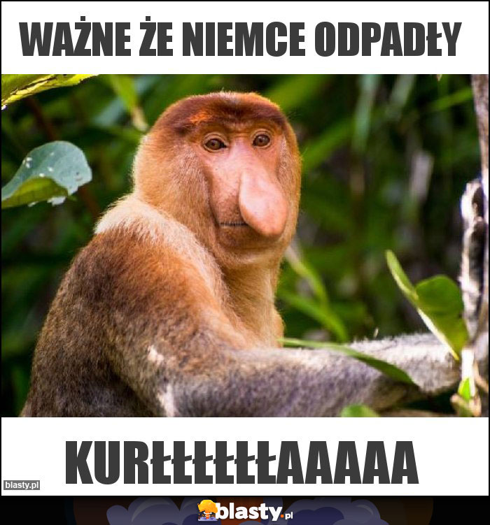 WAżne że niemce odpadły