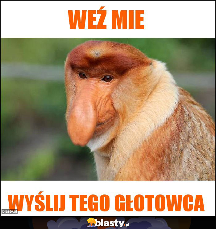 Weź mie