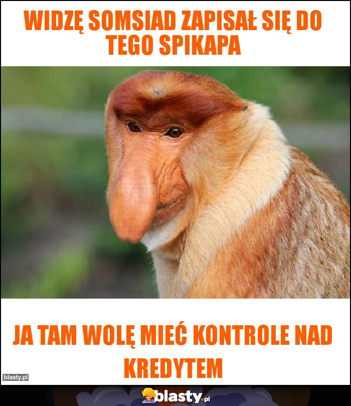 Widzę somsiad zapisał się do tego spikapa