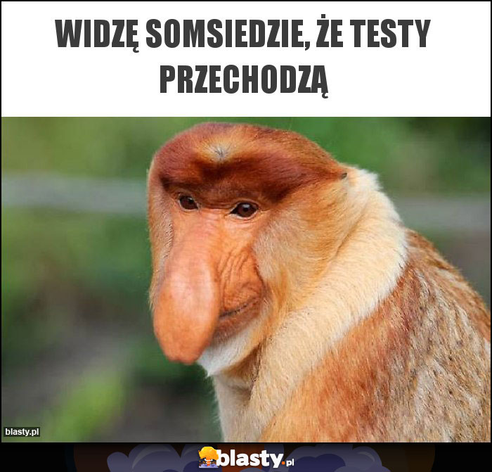 Widzę somsiedzie, że testy przechodzą