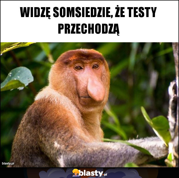 Widzę somsiedzie, że testy przechodzą