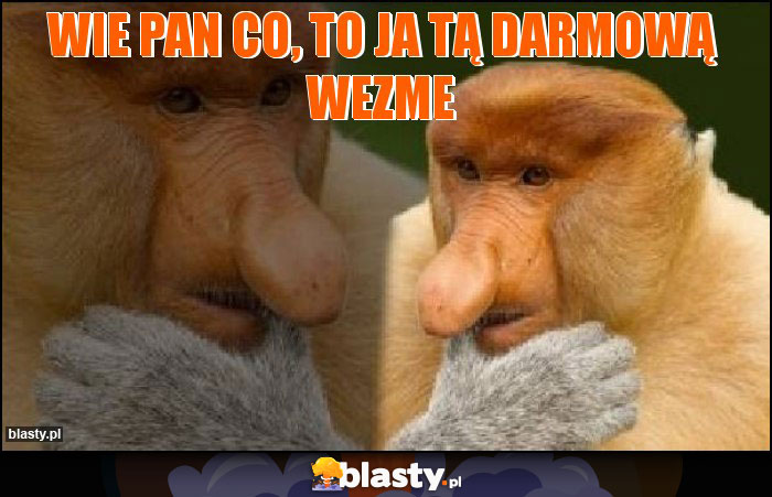 wie pan co, to ja tą darmową wezme