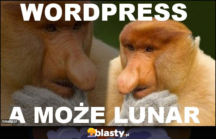 Wordpress