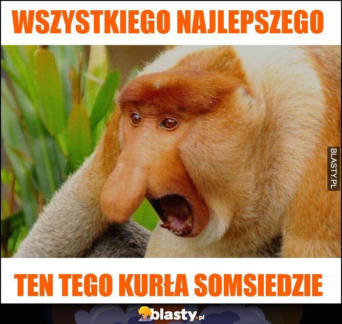 WSZYSTKIEGO NAJLEPSZEGO