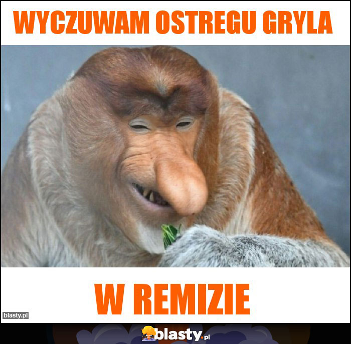 Wyczuwam ostregu gryla