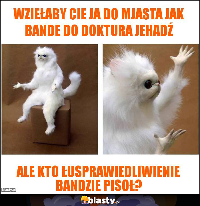 Wziełaby Cie ja do mjasta jak bande do doktura jehadź