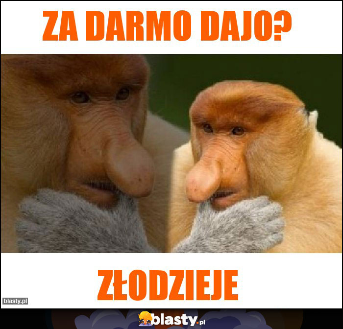 Za darmo dajo?