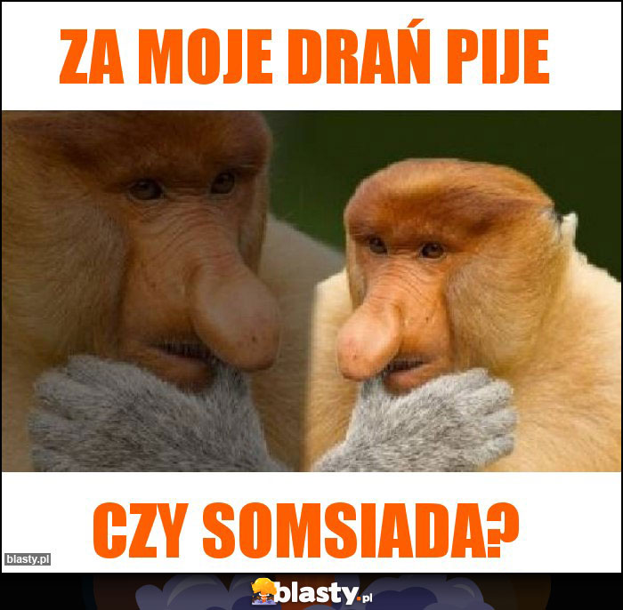 Za moje drań pije