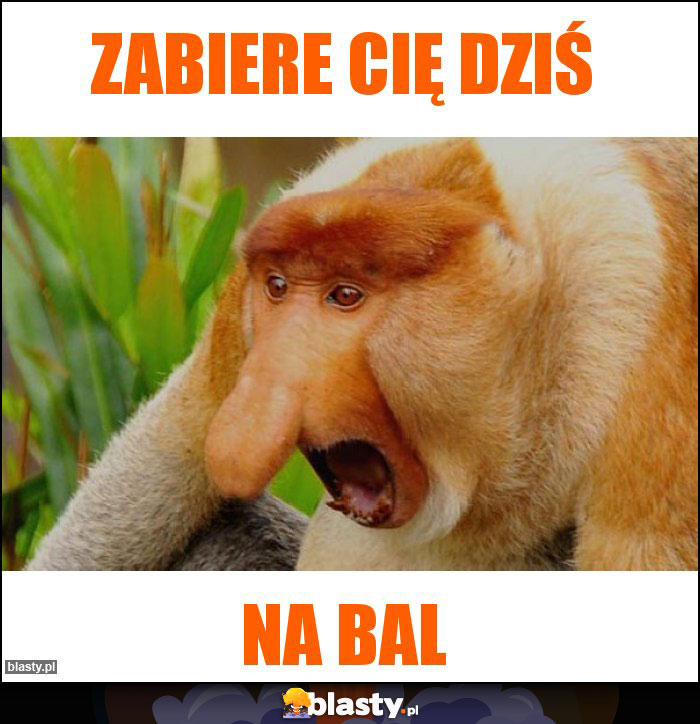 Zabiere Cię dziś