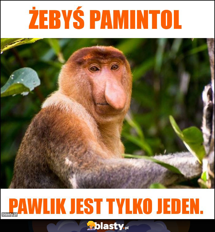 Żebyś pamintol