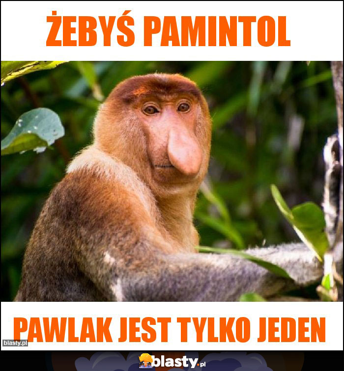 Żebyś pamintol