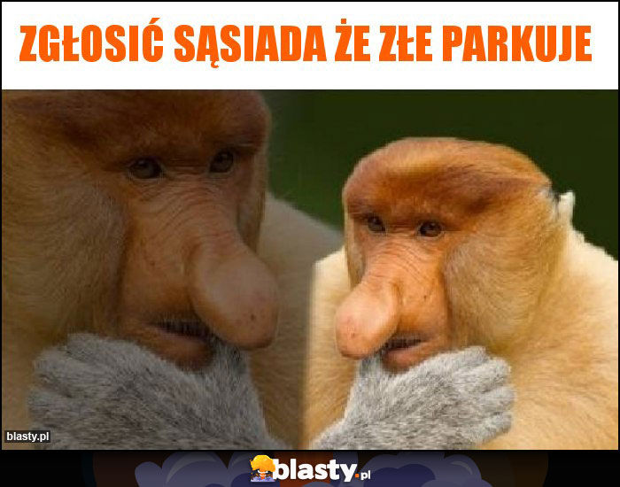 Zgłosić sąsiada że złe parkuje