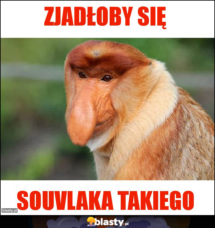 ZJADŁOBY SIĘ