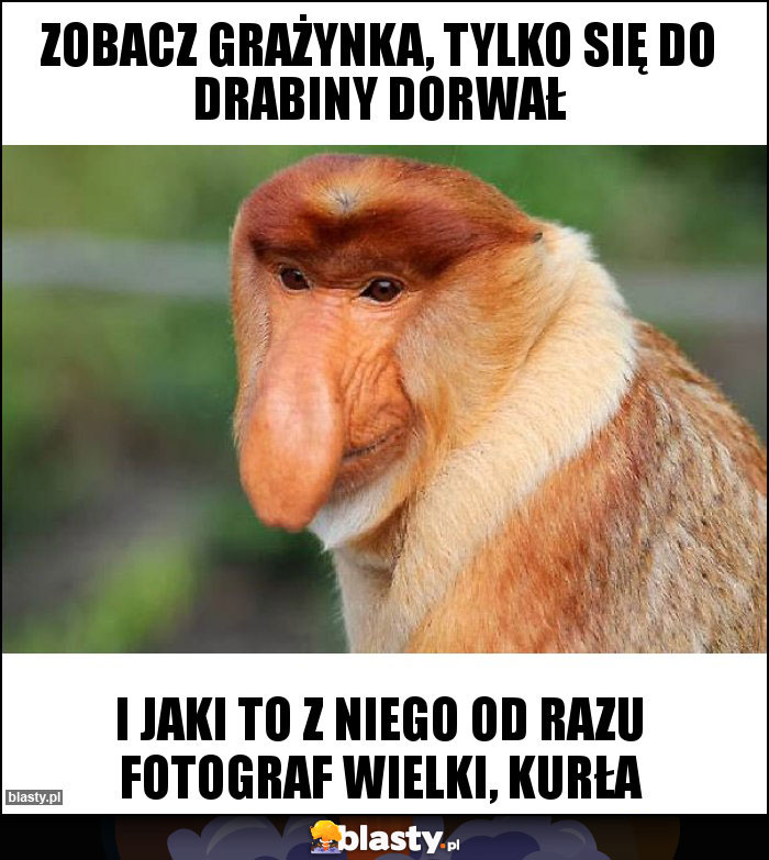 Zobacz GRAŻYNKA, TYLKO SIĘ DO DRABINY DORWAŁ