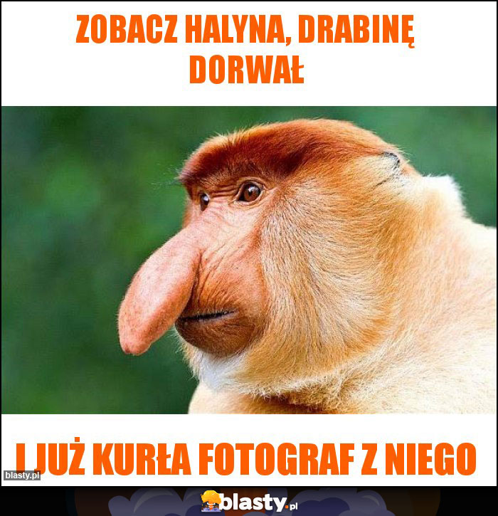 Zobacz Halyna, drabinę dorwał