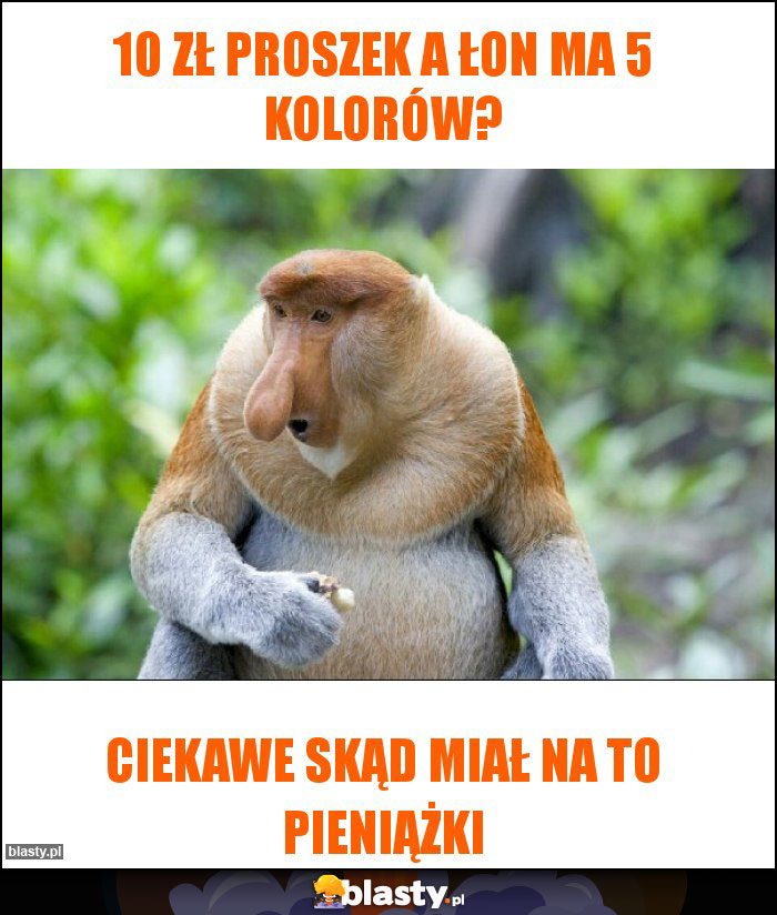 10 zł proszek a łon ma 5 kolorów?