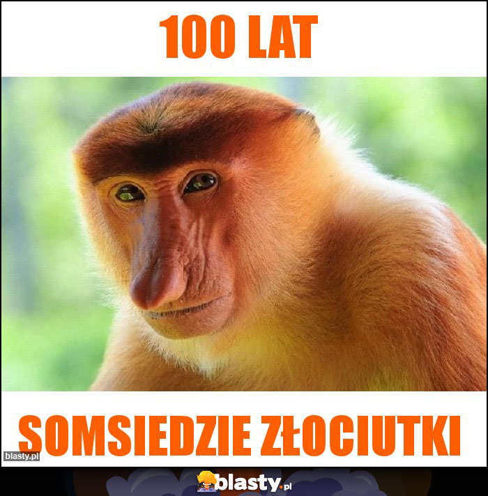 100 Lat