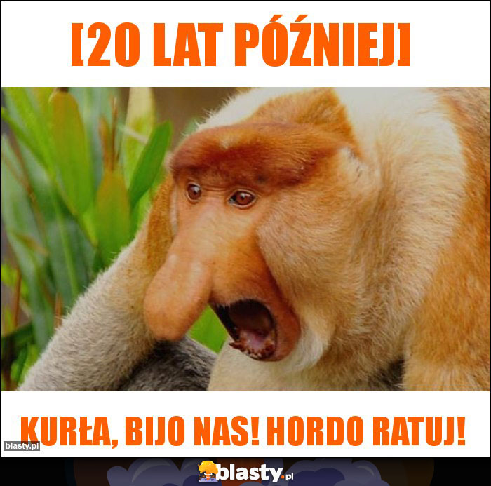 [20 lat później]