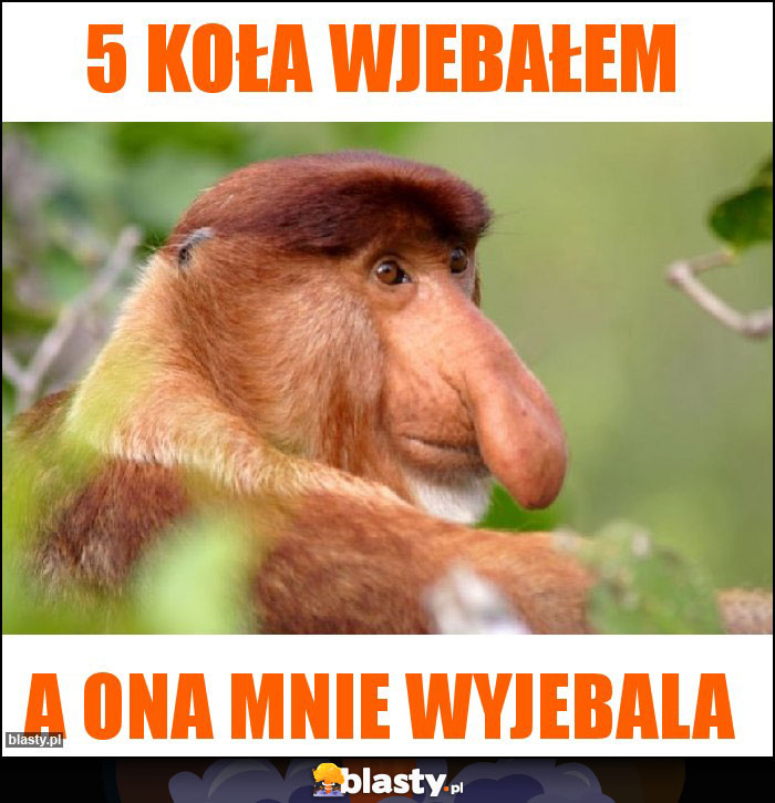 5 KOŁA WJEBAŁEM