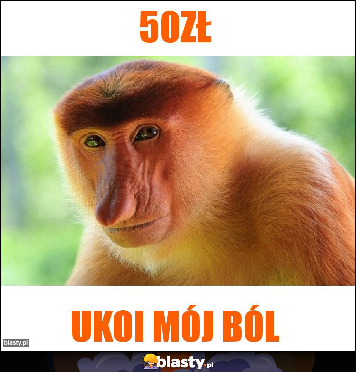 50zł