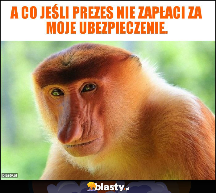 A co jeśli prezes nie zapłaci za moje ubezpieczenie.