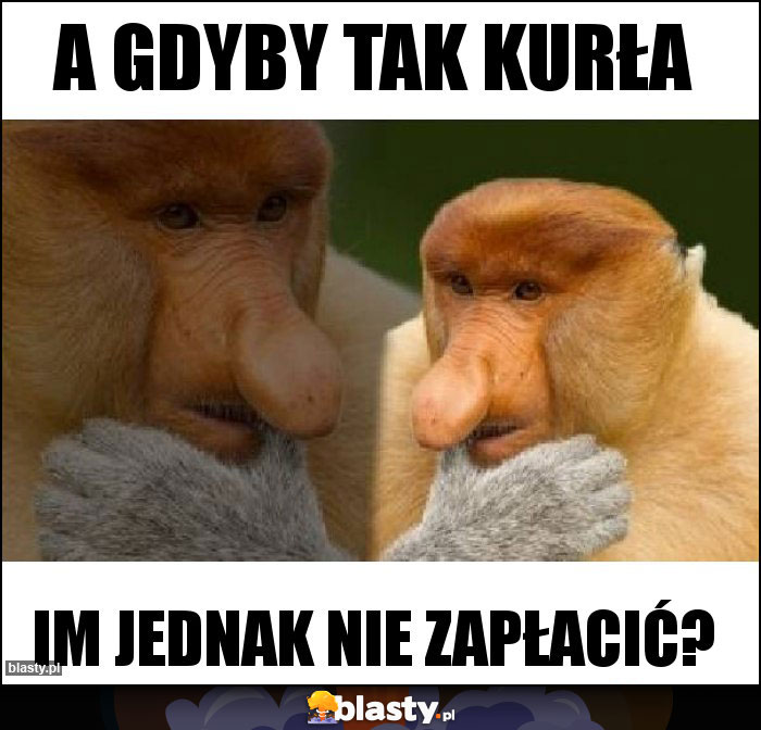 a gdyby tak kurła