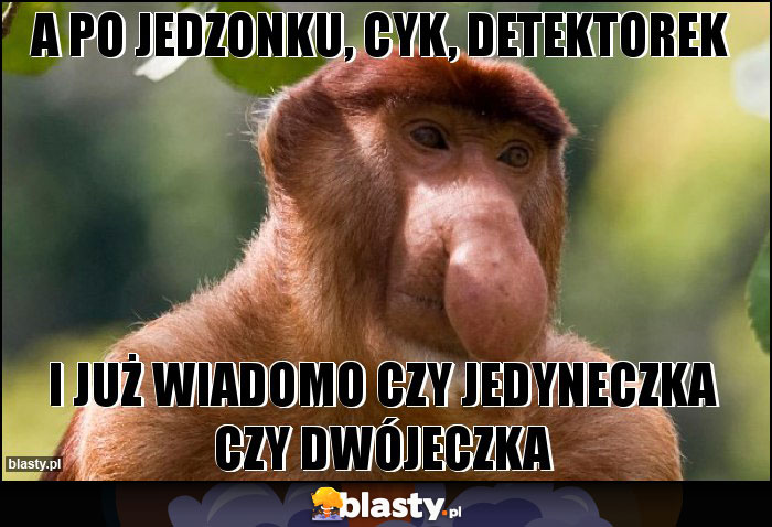 A po jedzonku, cyk, detektorek