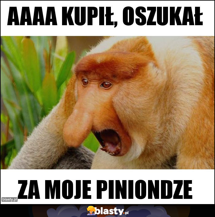 Aaaa kupił, oszukał