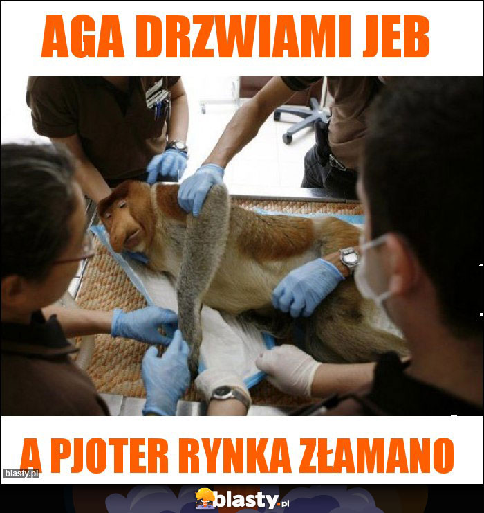 Aga drzwiami jeb