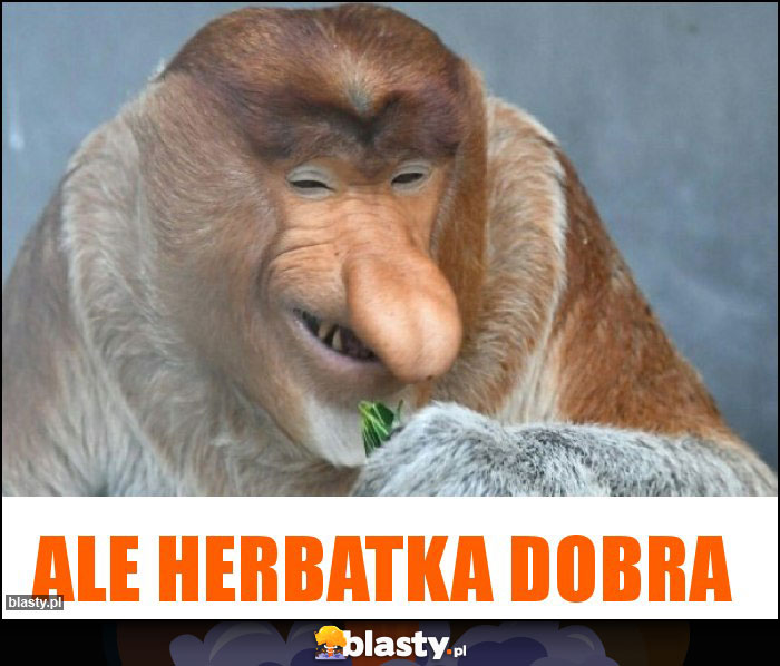 Ale herbatka dobra