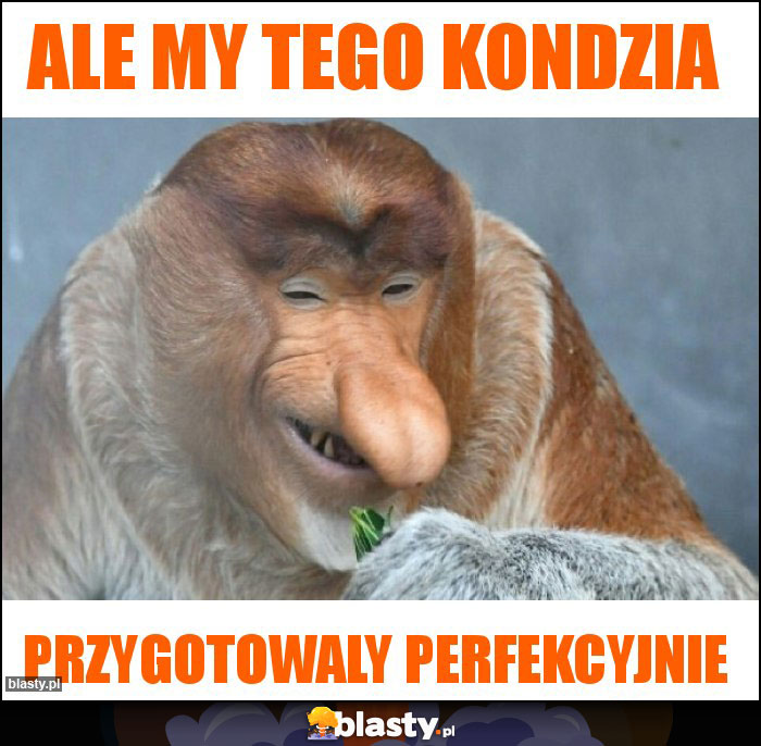 Ale my tego kondzia