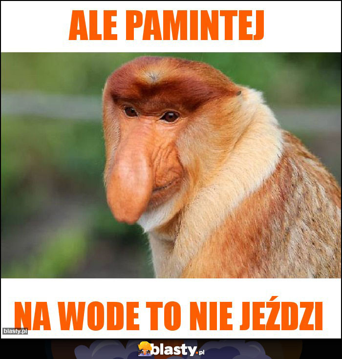 Ale pamintej