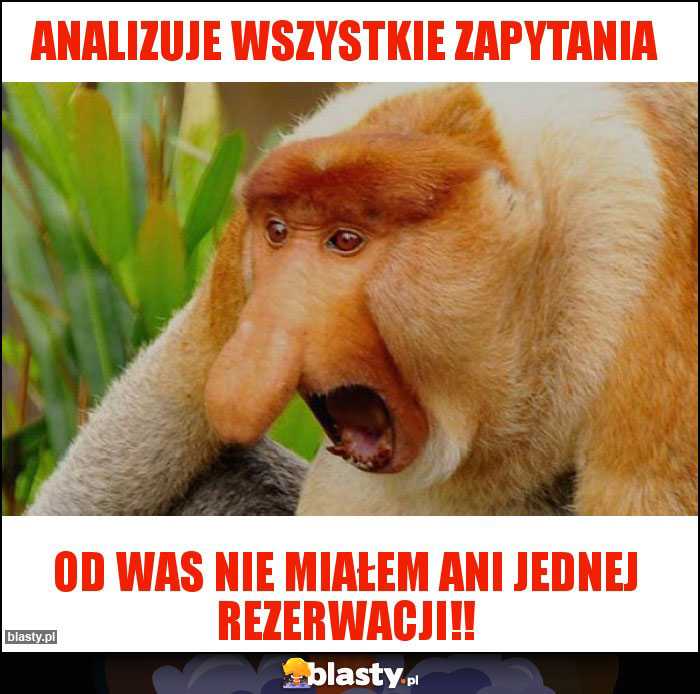 analizuje wszystkie zapytania