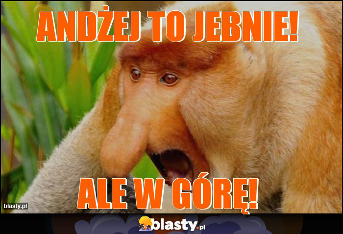 ANDŻEJ TO JEBNIE!