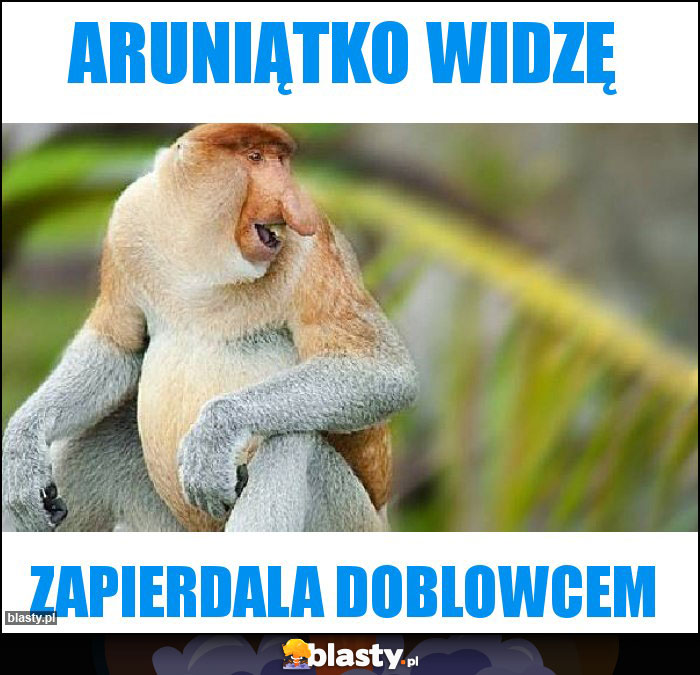 Aruniątko widzę