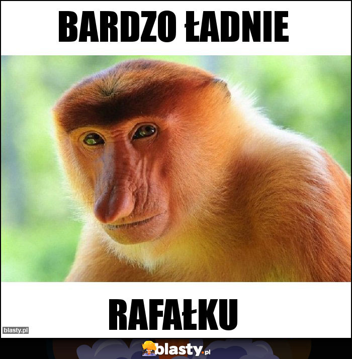 BARDZO ŁADNIE