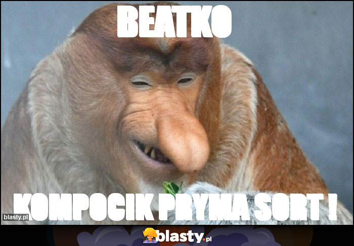 Beatko