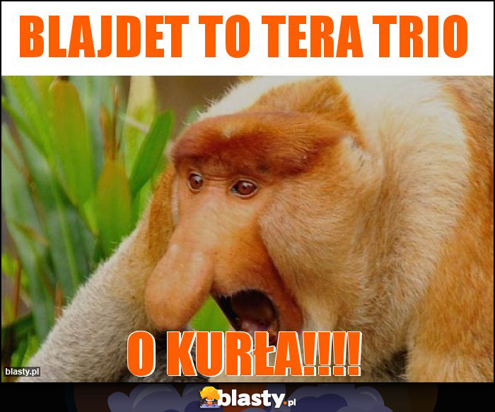 BLAJDET TO TERA TRIO