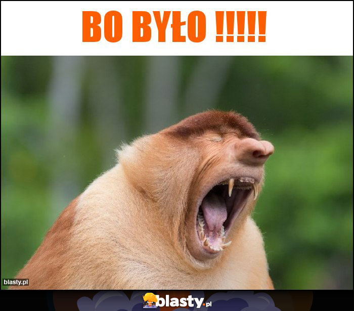 BO BYŁO !!!!!