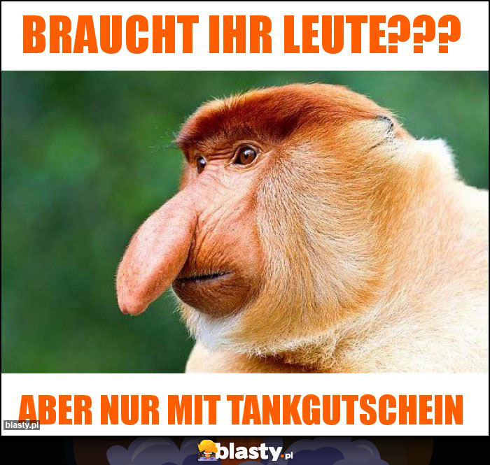 Braucht ihr Leute???