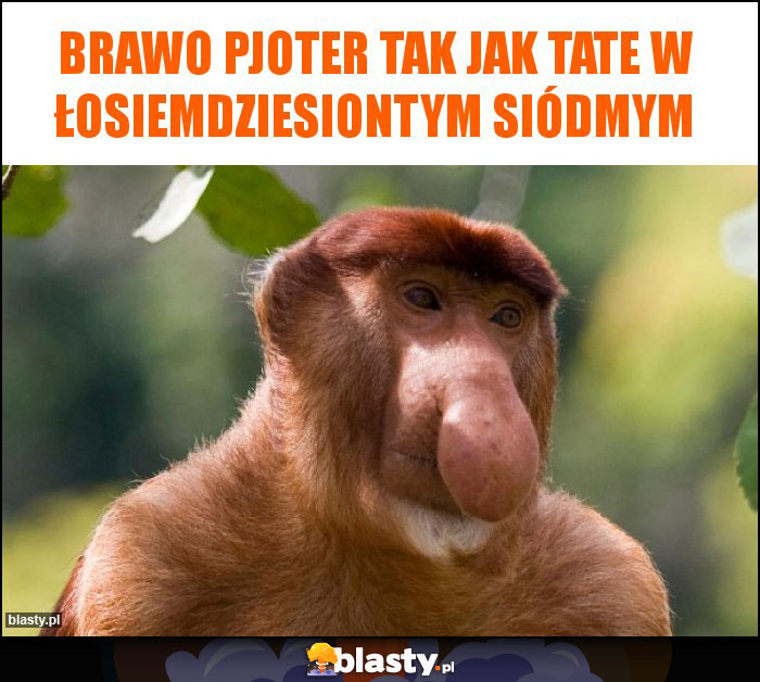 Brawo Pjoter tak jak tate w łosiemdziesiontym siódmym