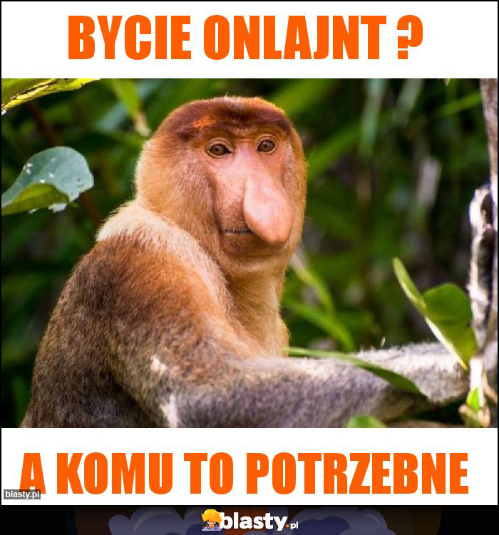 Bycie onlajnt ?