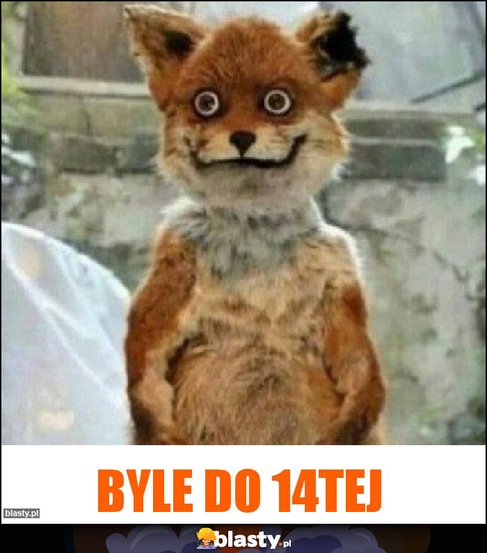 Byle do 14tej