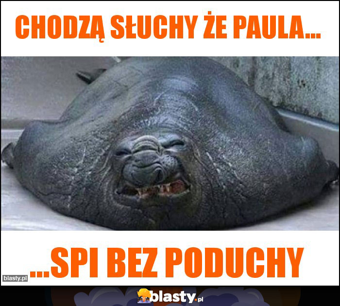 Chodzą słuchy że Paula...