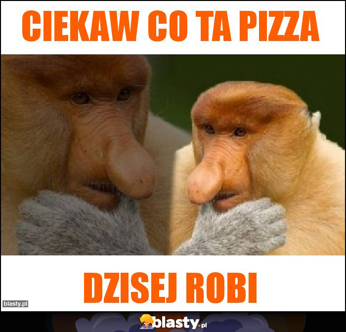 Ciekaw co ta pizza