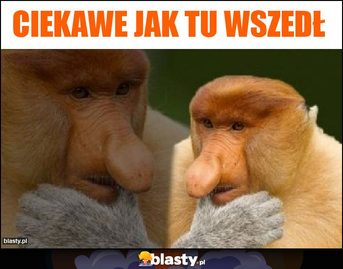 Ciekawe jak tu wszedł