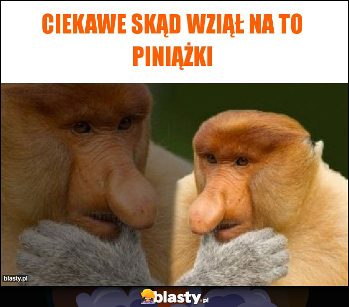 CIEKAWE SKĄD WZIĄŁ NA TO PINIĄŻKI