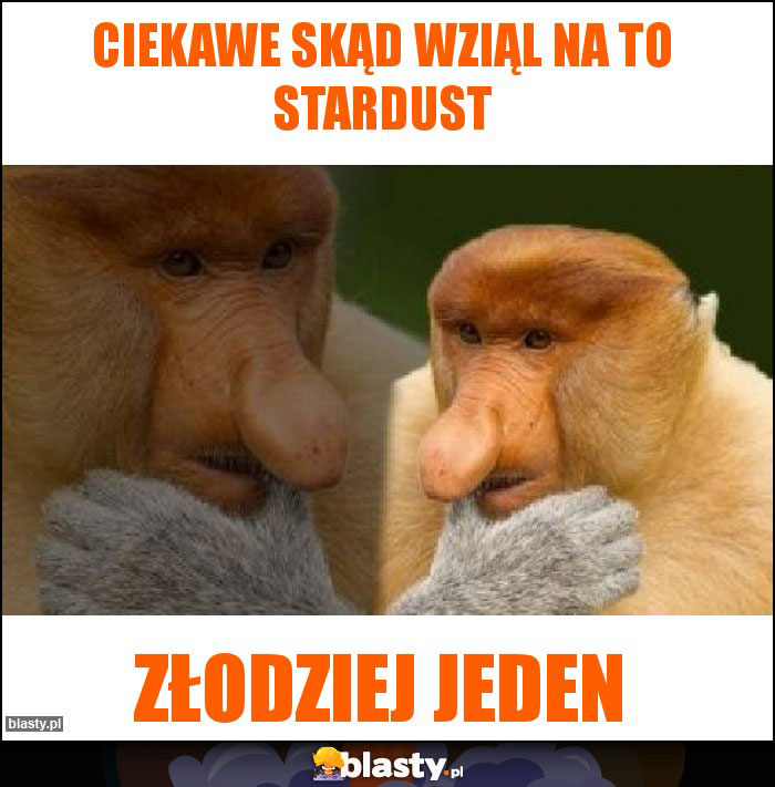 CIEKAWE SKĄD WZIĄL NA TO STARDUST