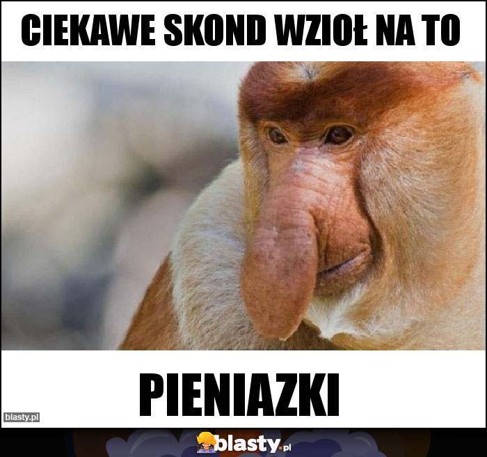 Ciekawe skond wzioł na to